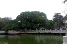 攀枝花福州旅游攻略(福州旅游攻略二日游)