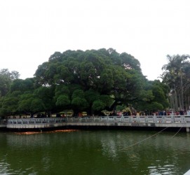 攀枝花福州旅游攻略(福州旅游攻略二日游)