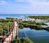 攀枝花旅游哪里好玩(云南旅游哪里好玩)