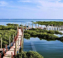 攀枝花旅游哪里好玩(云南旅游哪里好玩)