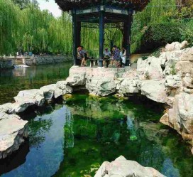 攀枝花济南旅游攻略(青岛威海济南旅游攻略)