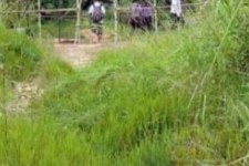 攀枝花苍溪学生做伴游兼职(苍溪学生做伴游兼职怎么样)