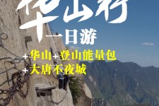 攀枝花一日游(一日游需要准备些什么东西?)