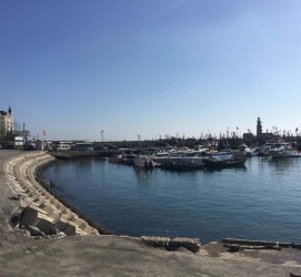 攀枝花大连旅游攻略(大连旅游攻略自由行)