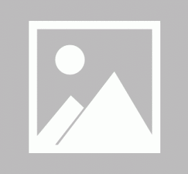 攀枝花私人伴游 黄金周里动“黄”经 天津又现“私人陪游”逆流