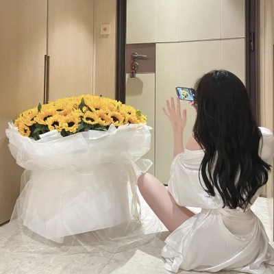 攀枝花商务伴游带客户畅游北京故宫,感受千年文化